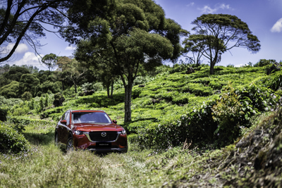 Mobil Mewah SUV Definisi Kemewahan Mazda CX-60