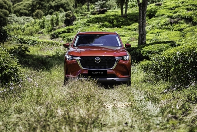 SUV Mewah Mazda: Membedah Mazda CX-60 dan CX-80